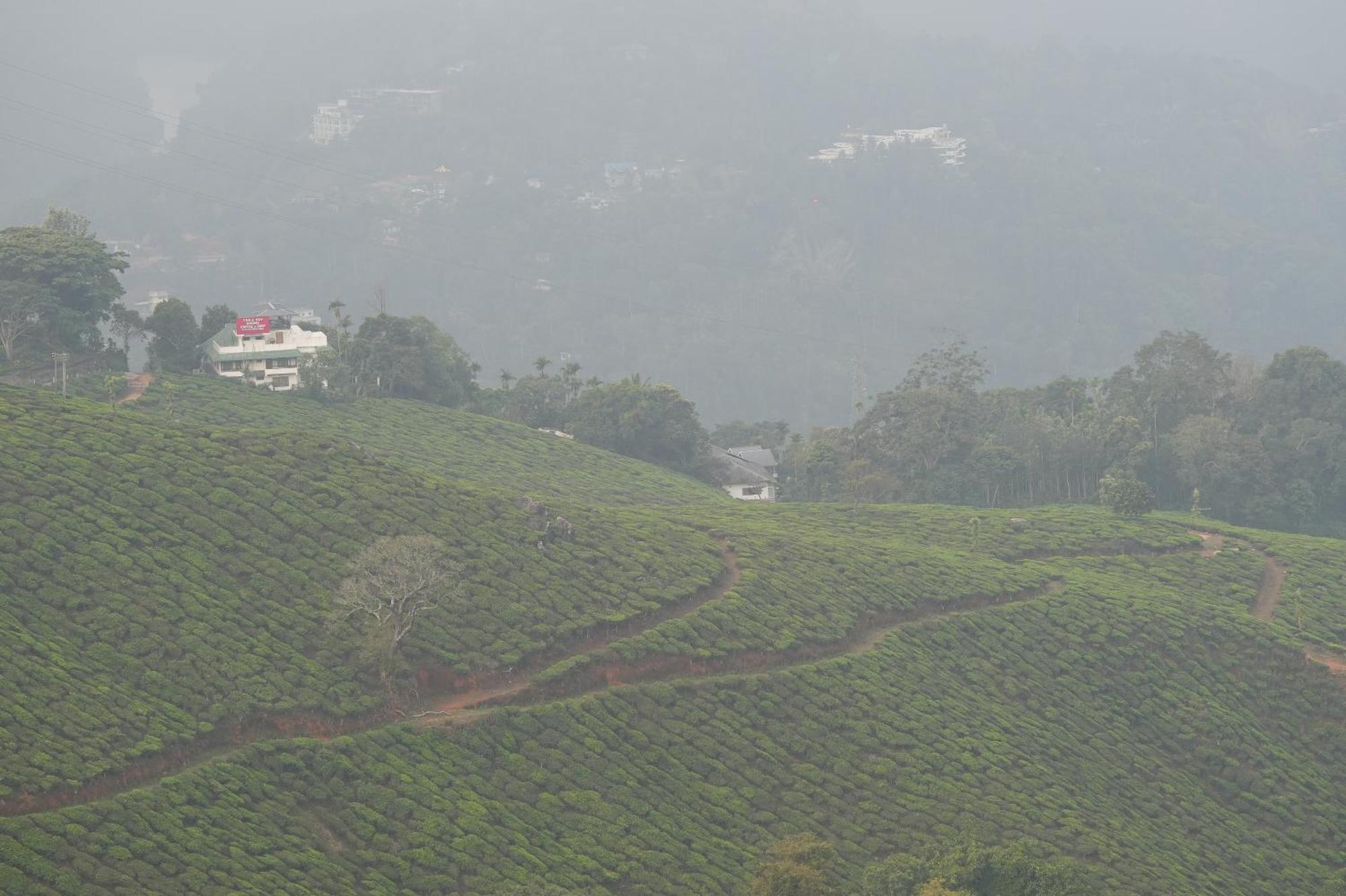 Bed and Breakfast Misty Bush Муннар Экстерьер фото